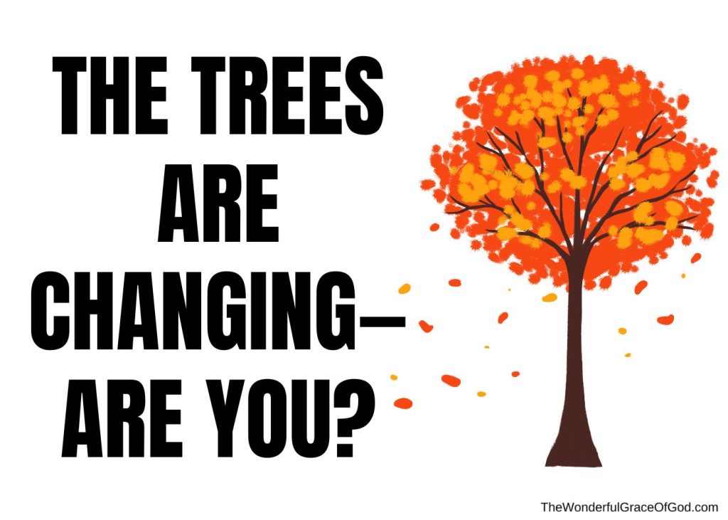 Church sign sayings for fall, fall church sign ideas,