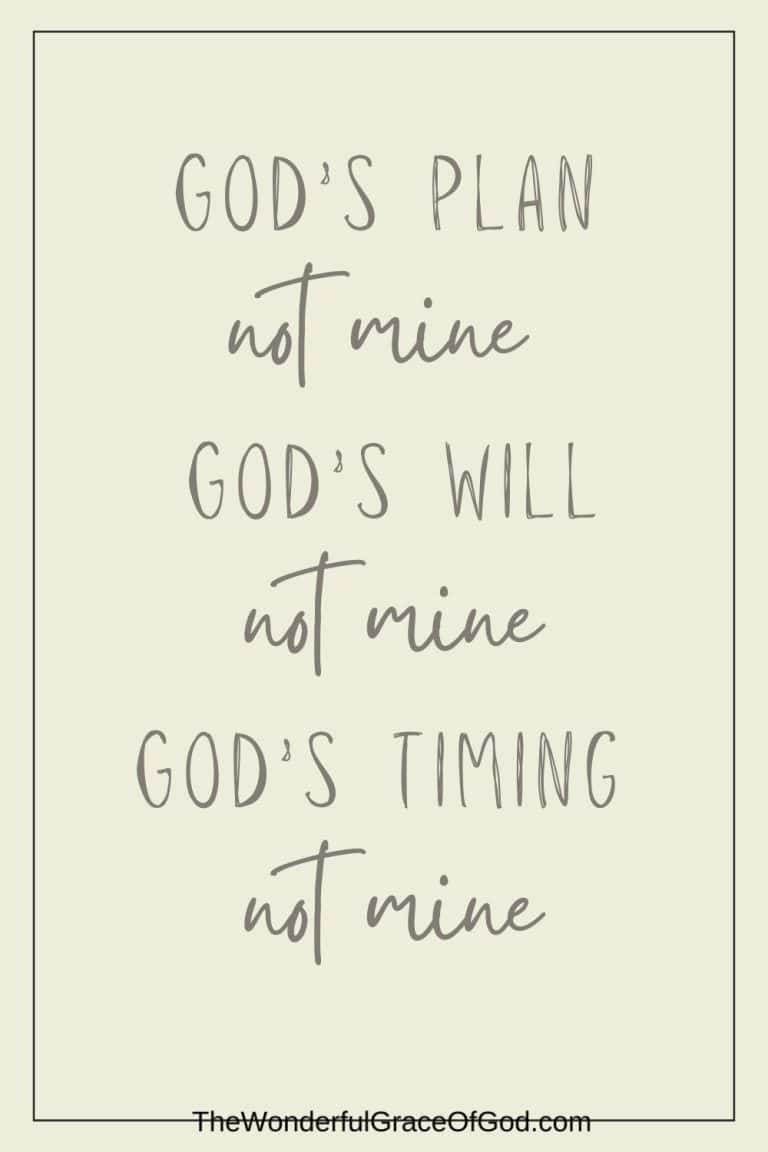 Top 23 God's Plan Quotes & Bible Verses - The Wonderful Grace of God