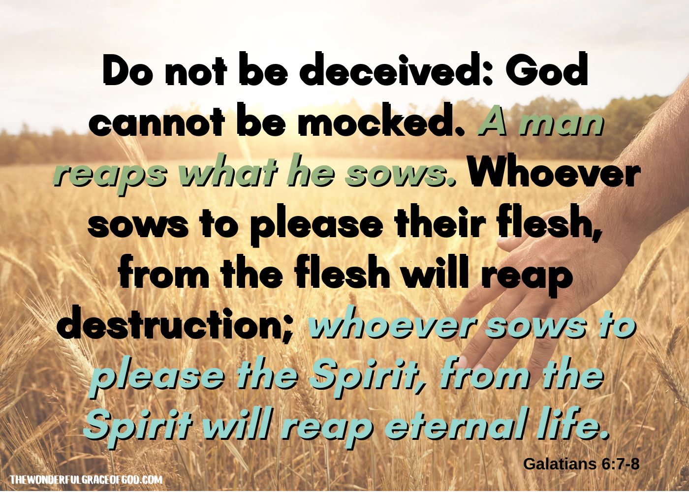 50 Best Bible Quotes for Addiction and Recovery - The Wonderful Grace ...
